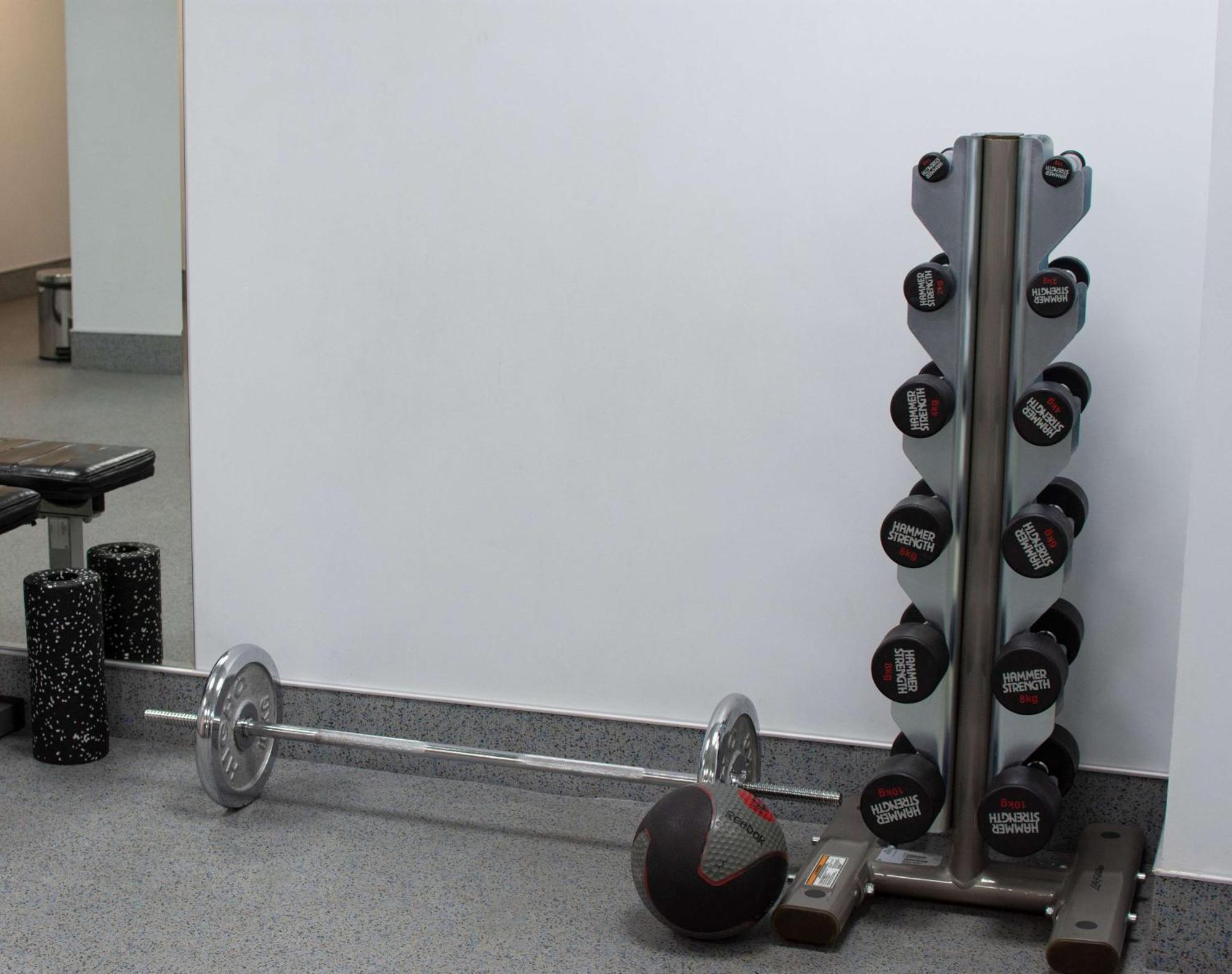 Radisson Blu Hotel Erevan Esterno foto Dumbbell rack